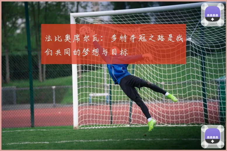 法比奥席尔瓦:多特夺冠之路是我们共同的梦想与目标