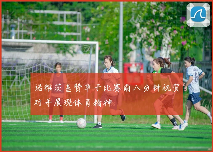 诺维茨基赞华子比赛前八分钟祝贺对手展现体育精神